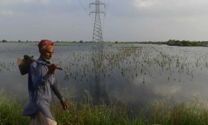 Fixing agriculture