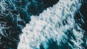 World’s oceans hit record 21.1°C, scientists warn of worsening marine crisis