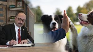Yine başkası adına utandık