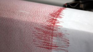 Messgeräte schlagen aus: Leichtes Erdbeben am Bodensee registriert