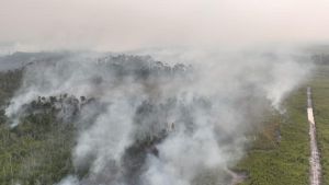 Junger Superman kämpft auf Borneo gegen Waldbrände