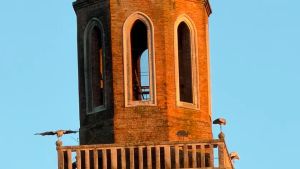 Le cicogne sono tornate a posarsi sul campanile di Negrisia, mancavano da 250 anni