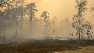 Požari u Srbiji: Kiša se ne očekuje, a najavljena jaka košava