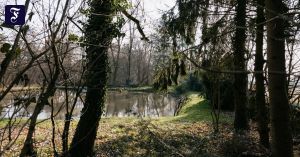 Eine Stadt in Zahlen