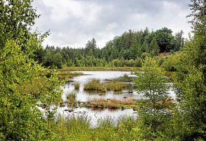 Orienteringsløber: - Så vil naturfredningsfolket igen have naturen for sig selv