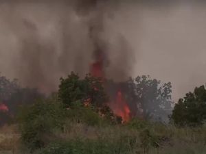 13-годишно момче подпали 14 000 декара край Хасково, огънят стигна и до военен полигон