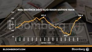 Kur mu hızlansın, dezenflasyon mu sürsün?