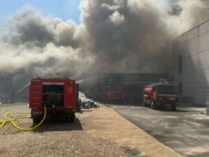 U Hercegovini brojni požari: Gorjela šuma, raslinje, vozilo i košnice