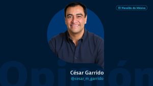 Despojos en complicidad