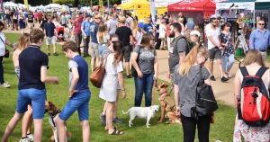 UK's largest dog festival promising 'spectacular' day out on return to Norfolk venue