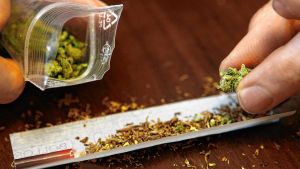 Mit Drogen über die Grenze: Zöllner entdecken 1,5 Kilogramm Marihuana im Auto