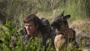 Un’oasi nell’apocalisse, così la magia del Cansiglio ha stregato Hollywood