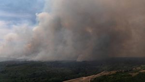 Opasnost od košave u Deliblatskoj peščari, i dalje gori na Stolovima