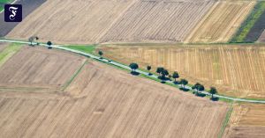 Dürre Hilferufe der Landwirte