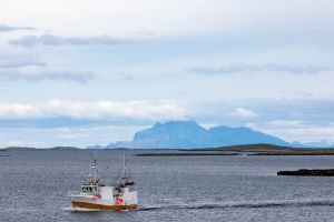 Manglende forvaltning av fjordene våre