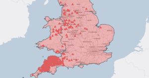 Farmers on red alert for animal disease as first bluetongue case confirmed in Norfolk