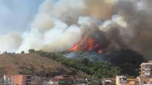Declarado un incendio forestal en Collserola a la altura de Nou Barris