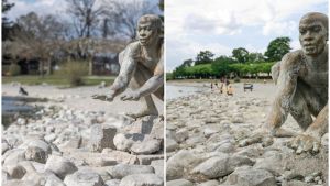 Niedrigwasser ist nicht gleich Niedrigwasser: Der Untersee im Jahr 2025 und 2026