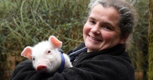 Sanctuary boss with menagerie of 300 birds and animals in court over welfare offences