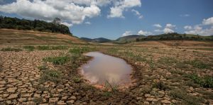 COP17 en Mongolie : la diplomatie de la terre à l’épreuve de la crise du multilatéralisme environnemental