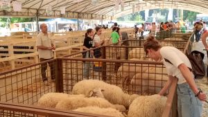 Vicchio, conto alla rovescia per la Fiera Calda