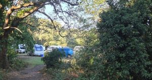Police called in after travellers pitch on Mousehold Heath