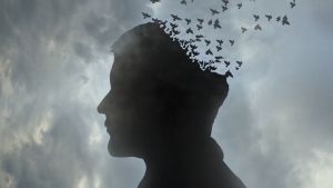 Ny behandling mod Alzheimers blev afvist. Hvornår er et liv værd at investere i?
