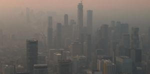 Vulnerability to wildfire smoke is in our genes, thanks to an evolutionary quirk