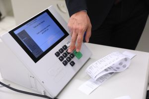 O eleitor médio: quando o voto deixa de ser coisa séria