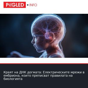 Краят на ДНК догмата: Електрическите мрежи в ембриона, които преписват правилата на биологията