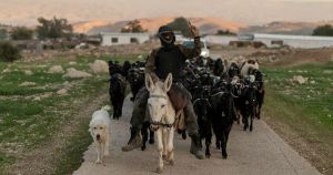 The Israeli Left Should Be Fighting Settlements - Not Building Them
