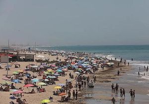 El verano de la IA