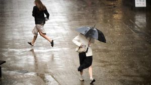 Udsender forvarsel: Kraftig regn og torden på vej
