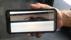 Was krabbelt denn da? Anwohner entdeckt Nosferatu-Spinne in Konstanz-Petershausen