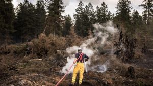 Feuer im Hohen Venn - erster Verdacht zur Brandursache
