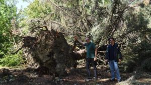 Parco della Resistenza devastato. L’aspetto è stravolto per sempre. E servono mesi per la riapertura