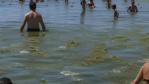 Video falsi e fotomontaggi contro Rimini e il suo mare: gli albergatori denunciano 2 influencer