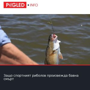 Защо спортният риболов произвежда бавна смърт