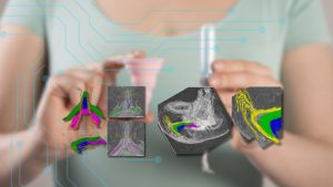 Clítoris, sangre menstrual y la menopausia estudiada con datos de hombres