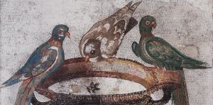 ‘Frequently fumigate the hen‑houses’: how ancient Greeks and Romans tried to treat sick birds