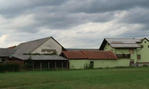 Mučitelj živali Marjan Špur veterinarjev, ki bi govedo morali cepiti, ni spustil v hleve