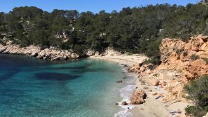 ‘Xindriada popular’ en Cala Saladeta