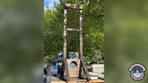 US Capitol Police arrest man with guillotine in back of pickup truck; judge releases him