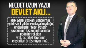 Necdet Uzun yazdı: Devlet aklı...