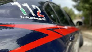 Ruba due collari antiparassitari per cani e fugge, finisce in carcere