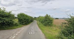 Solar farm set to power 5,000 homes gets approved despite concerns for dogs and cats