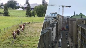 Politiikka | Lukijalta: Helsingin asiaa saa ajaa, muun maan ei