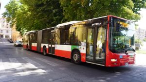 Autista bus aggredito: una banda sale a bordo, lo picchia e aizza un pitbull