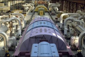 À Gravelines, un nouvel afflux de méduses contraint EDF à mettre à l’arrêt un réacteur de la centrale nucléaire