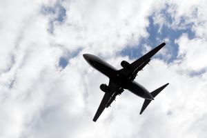 Two Frankfurt Airport Workers Die After Rare Mosquito-Borne 'Airport Malaria' Outbreak Sickens Six Staff